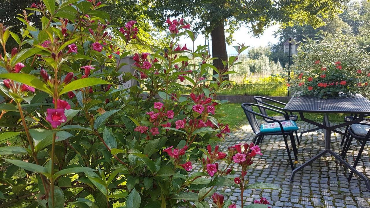 Willa Skalniak Lądek-Zdrój Exterior foto